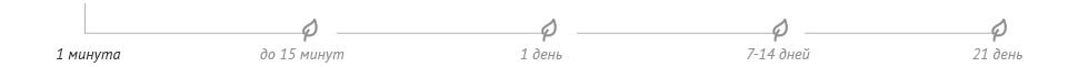 Выполнение заказа